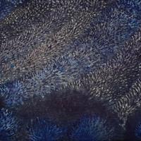 Lavanda field - 2020-05-28