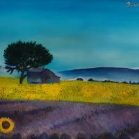 Lavanda field - 2020-05-28