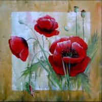 Poppies - coquelicots -  .jpg