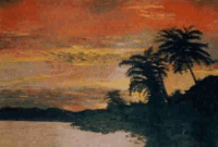 palmier-2.gif