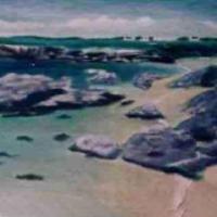 Stony beach.jpg